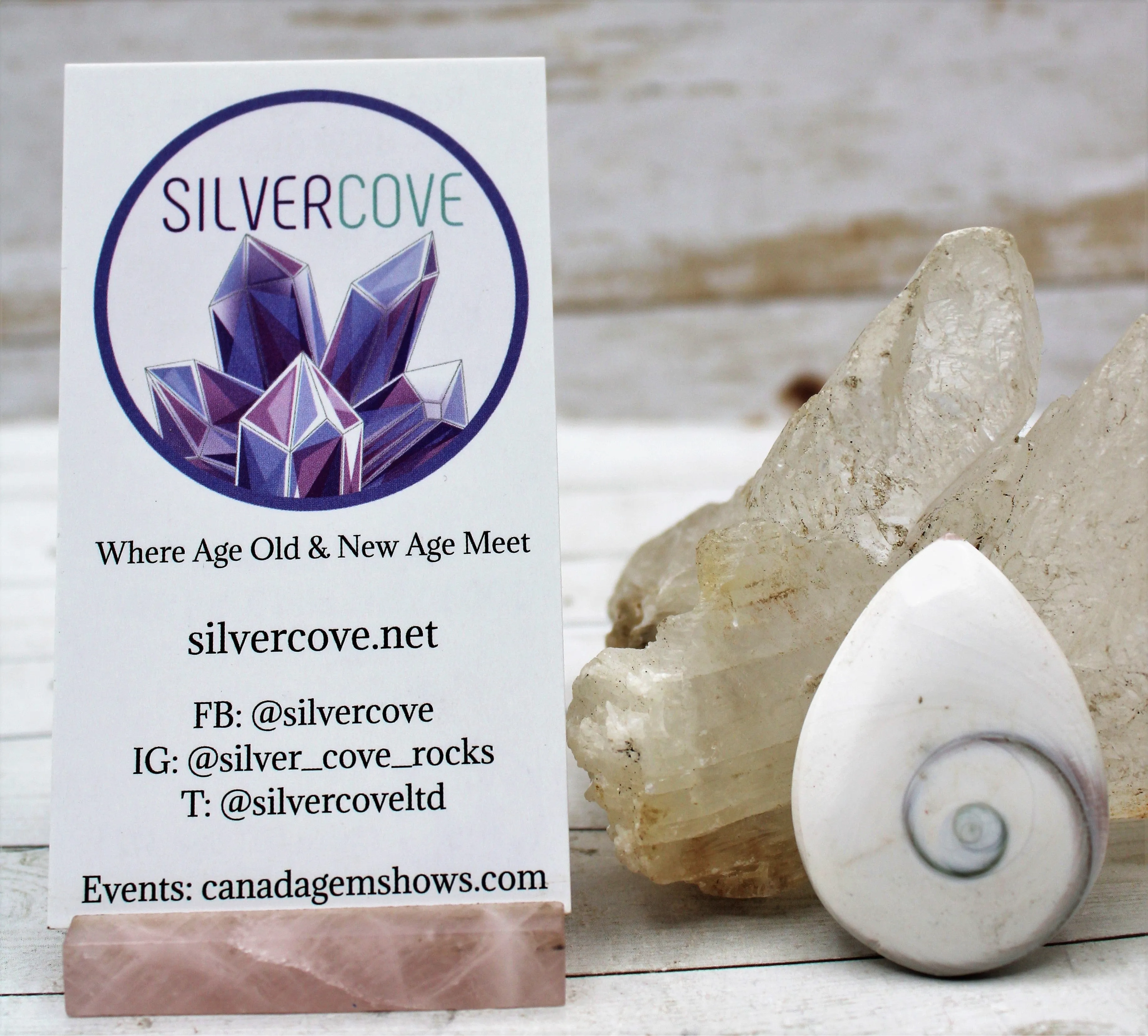 Shiva Eye Shells